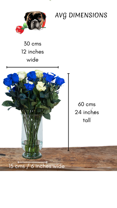 Asimov: White and Blue Long-Stemmed Roses (Free Shipping)