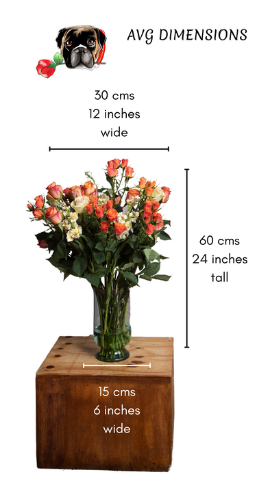 Moliere: Orange and Light Pink Long-Stemmed Roses (Free Shipping)
