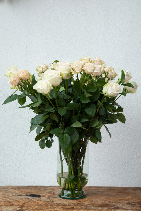 Cervantes: White and Blush Long-Stemmed Roses (Free Shipping)