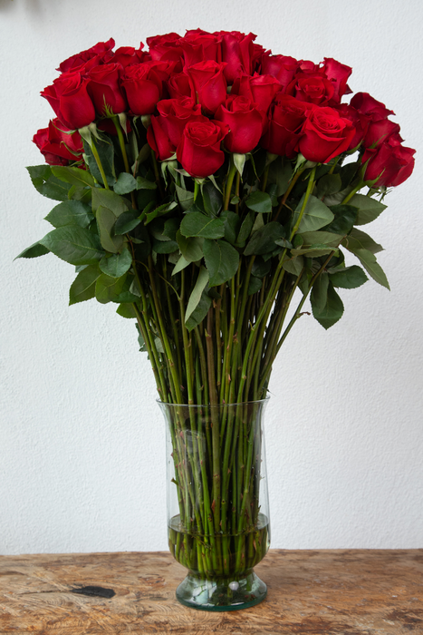 Chaucer: Red Extra Long-Stemmed Roses (Free Shipping)