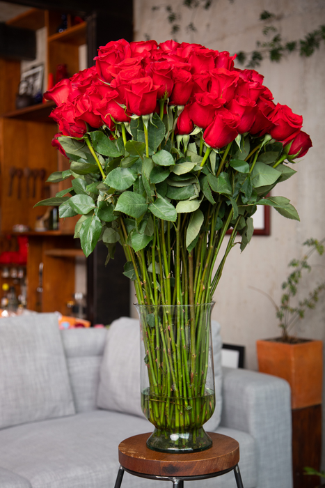 Chaucer: Red Extra Long-Stemmed Roses (Free Shipping)