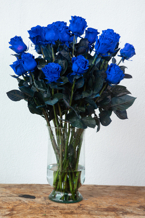 Dostoevsky: Blue Long-Stemmed Roses (Free Shipping)