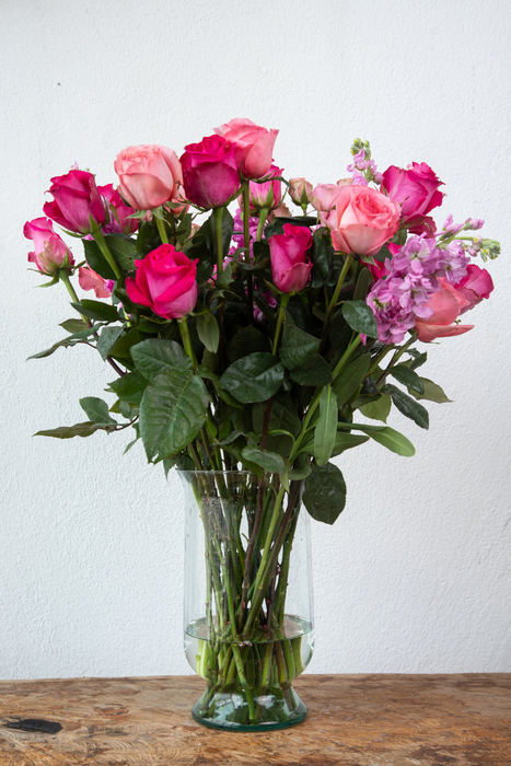 Doyle: Pink and Hot Pink Long-Stemmed Roses (Free Shipping)