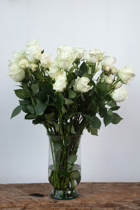 Melville: White Long-Stemmed Roses (Free Shipping)