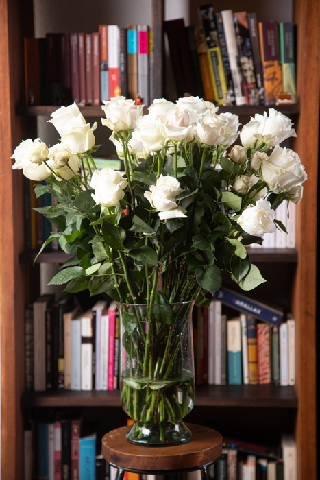 Melville: White Long-Stemmed Roses (Free Shipping)