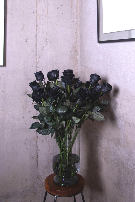 Shelley: Black Long-Stemmed Roses (Free Shipping)