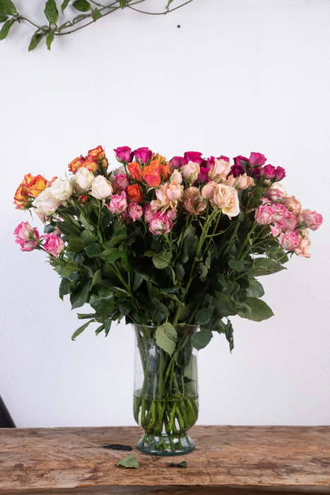 Voltaire: Multi-colored Long-Stemmed Spray Roses (Free Shipping)