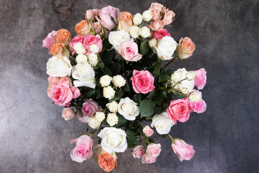 Wilde: Wedding toned Long-Stemmed Roses (Free Shipping)