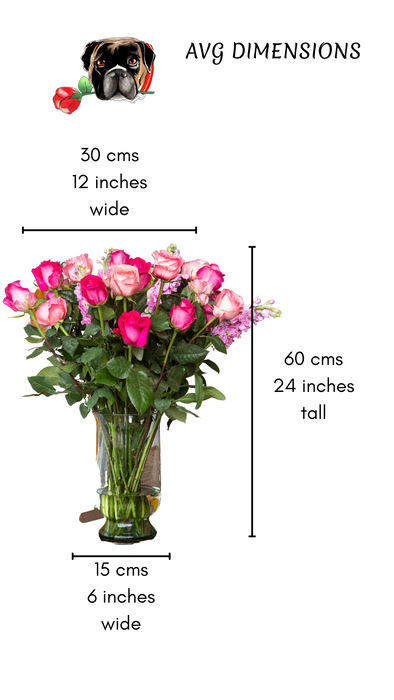Doyle: Pink and Hot Pink Long-Stemmed Roses (Free Shipping)