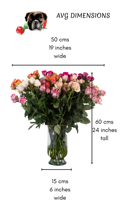 Voltaire: Multi-colored Long-Stemmed Spray Roses (Free Shipping)